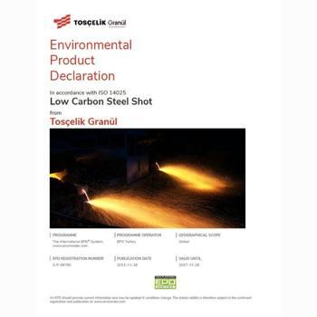 Low Carbon Steel Shot