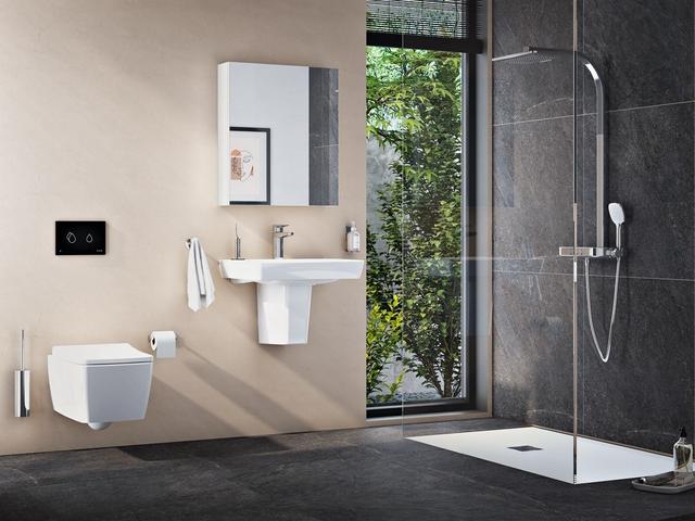 Vitreous China (VC) & Fine Fire Clay (FFC) Ceramic Sanitaryware